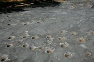 The centerpiece of Indian Grinding Rock State Historic Park is the limestone grinding rock, of course, where Miwok people ground acorns and other foods.