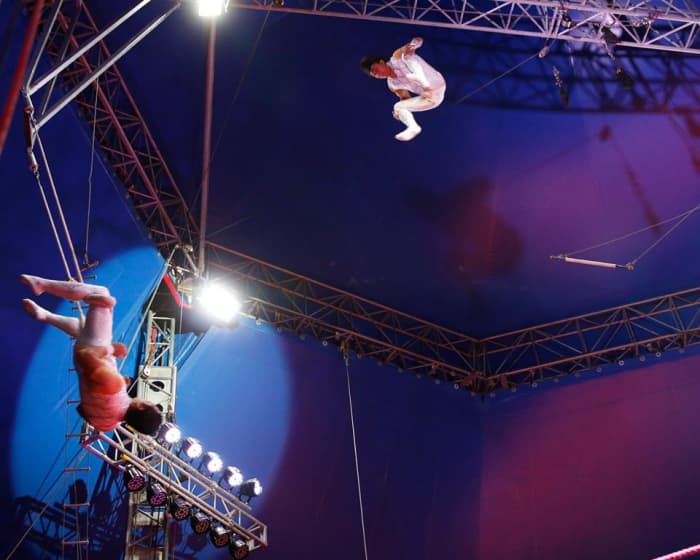 Touring Circuses in the United States and Beyond - WanderWisdom