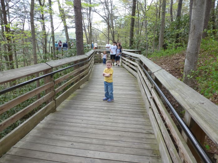 The Canyon Rim Boardwalk offers an easy hike with views of the gorge, bridge, and full accessibility.