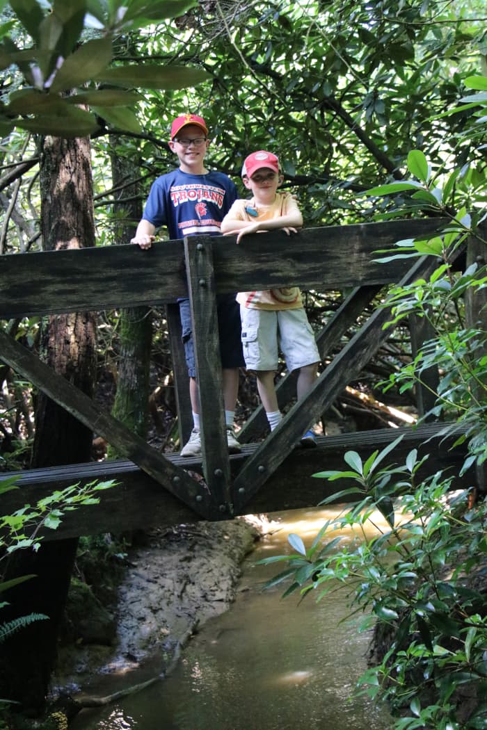 Spring, summer, and fall offer unique vistas in the New River National River area. Each season offers a beautiful view, with flowers, lush greenery, or beautiful fall foliage.