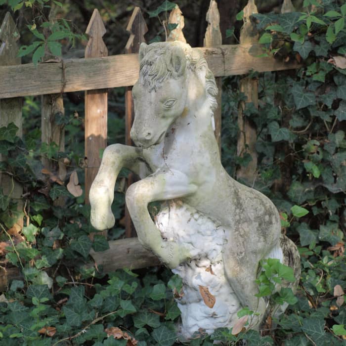 The headstone of Ikey D, the horse of local resident Sam Jones, who is buried beside his horse. The burial site is located on Springer's Point.