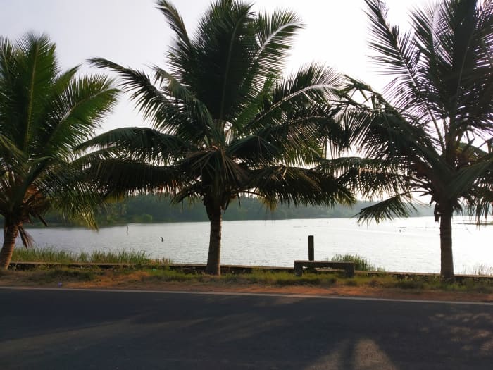 The countryside around Nagercoil