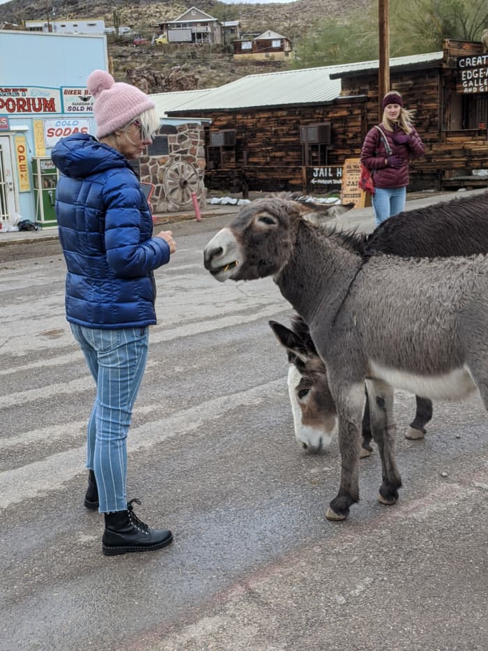 A couple of burros chatting with my wife on Main Street in Oatman, AZ.
