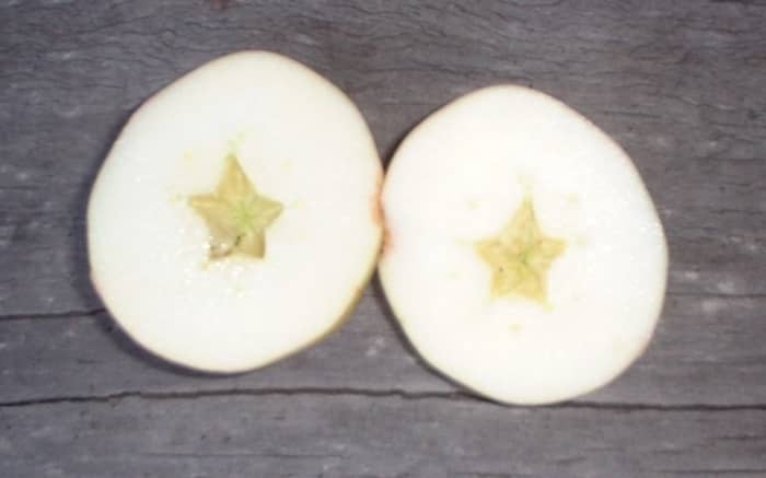 Inside the food of the dead, we find the symbol for continuing life. Use that to help transform yourself this time of the year