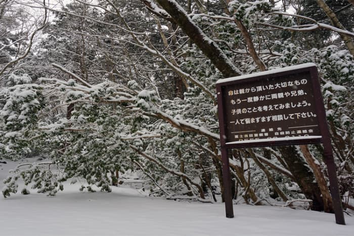 A sign at the entrance to the forest beseeches visitors to remember their families and to reach out instead of taking their own lives.