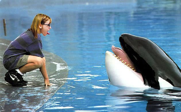 Any person working with any large carnivorous animal (or even those that aren’t, such as elephants) is also at risk.