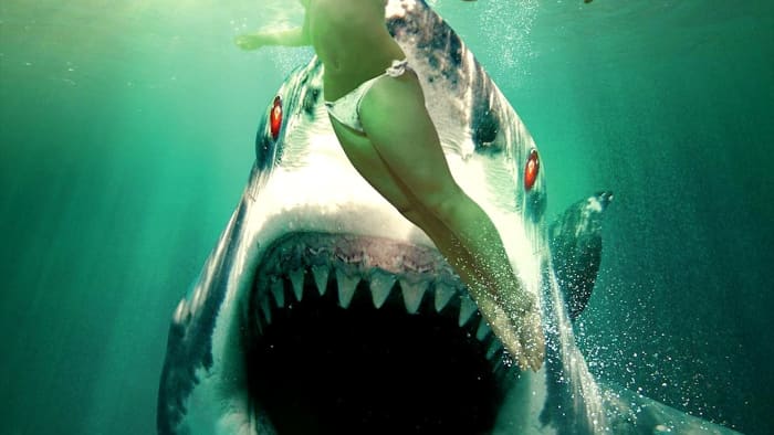 Top 6 Insane Shark Horror Movies - ReelRundown