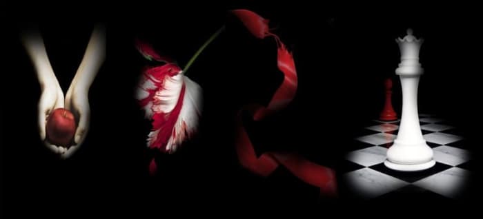 All through the Twilight Saga changes were made to the big screen from the novels, but the essential plot remained the same.