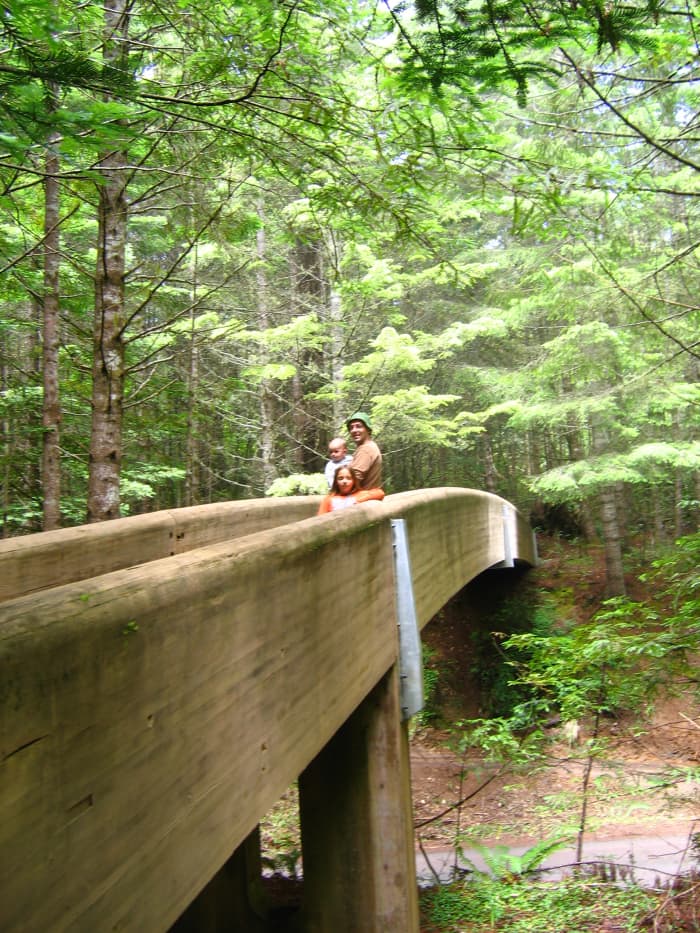 The bridge to the entrance of the interpretive trail leads to an area that is well-preserved and easy to traverse.