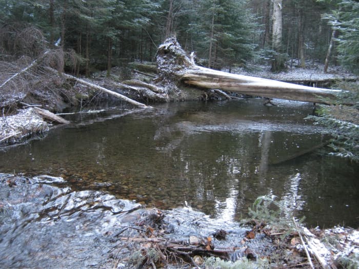 At the second creek crossing you have the option of crawling over the log or rock hopping.