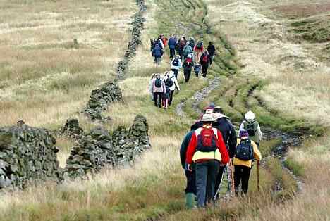 Ramblers and walkers often venture into fields full of cows. This should be avoided. 