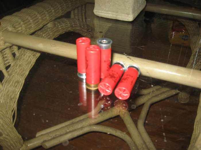 How to Pick Ammo for Squirrel Hunting SkyAboveUs