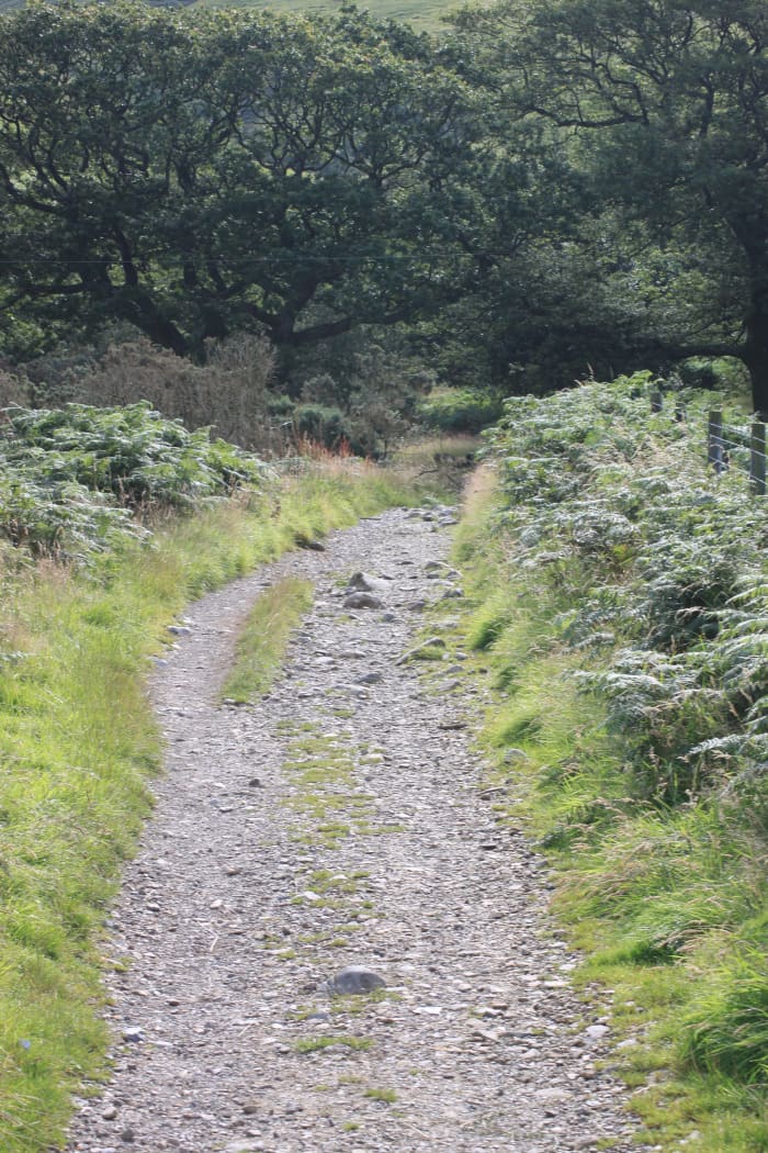 The rugged footpath along Lingmell Gill is alive with the noise of rushing water coming down from the Scafell Massif