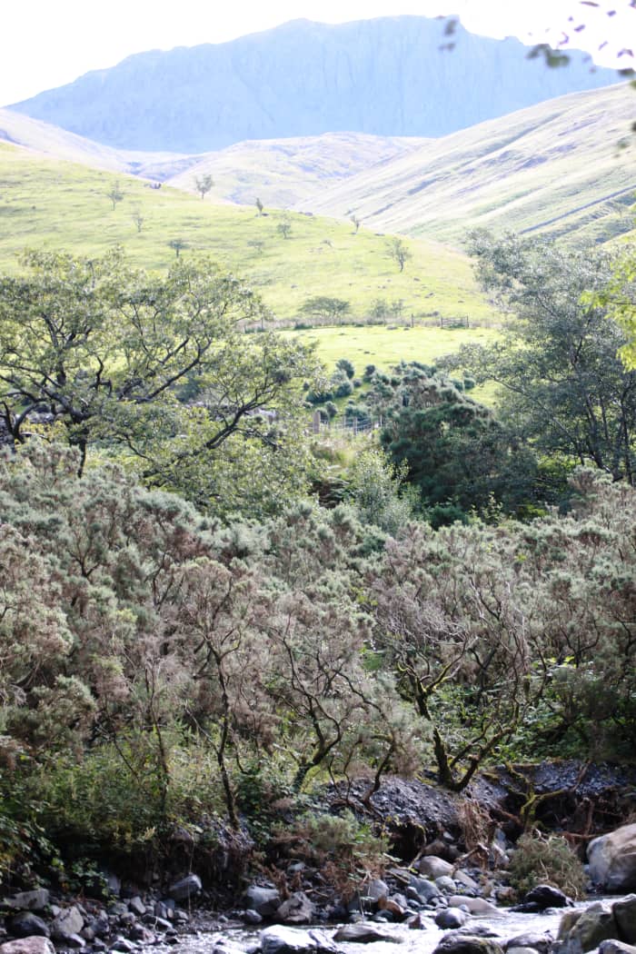 Looking left and upwards to the rugged outcrop of Pikes Crag and Pulpitt Rock on the northern edges of Scafell Pike