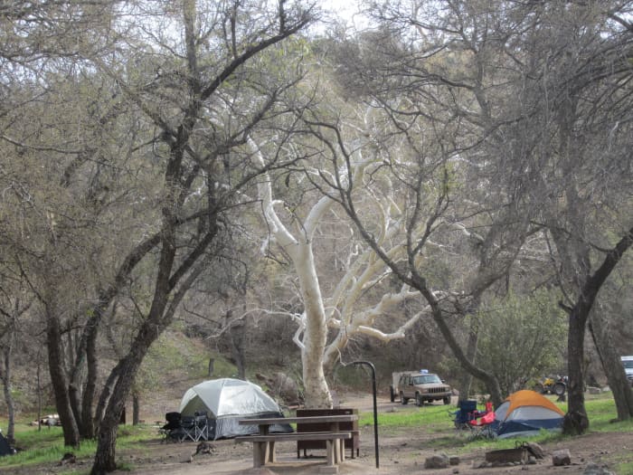 Campground in Peppersauce Canyon a half mile from Peppersauce Cave in Arizona's Coronado National Forest.