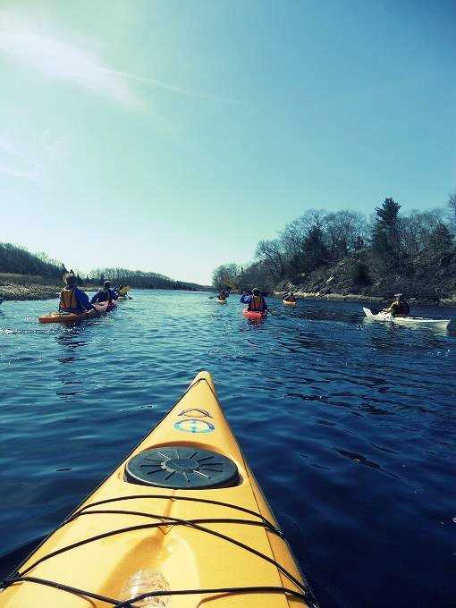 Westport River Kayaking in Massachusetts A Complete Guide SkyAboveUs