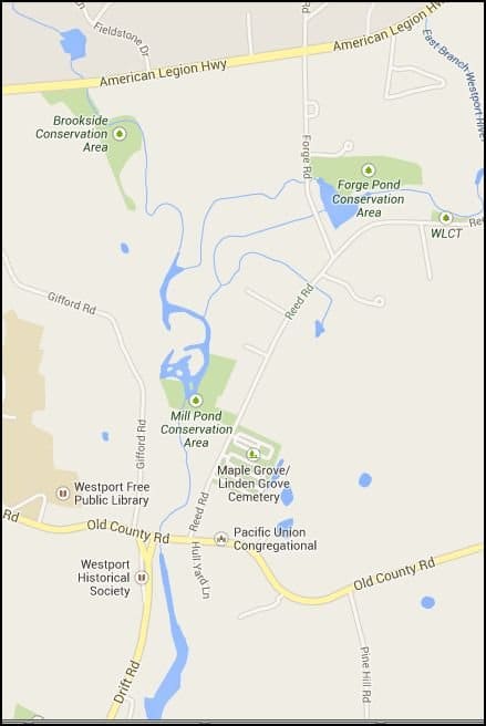 The East Branch and Cheese and Brook trail converge before flowing straight towards the Head of Westport Village. (Notice the East Branch river near the top as a reference.)