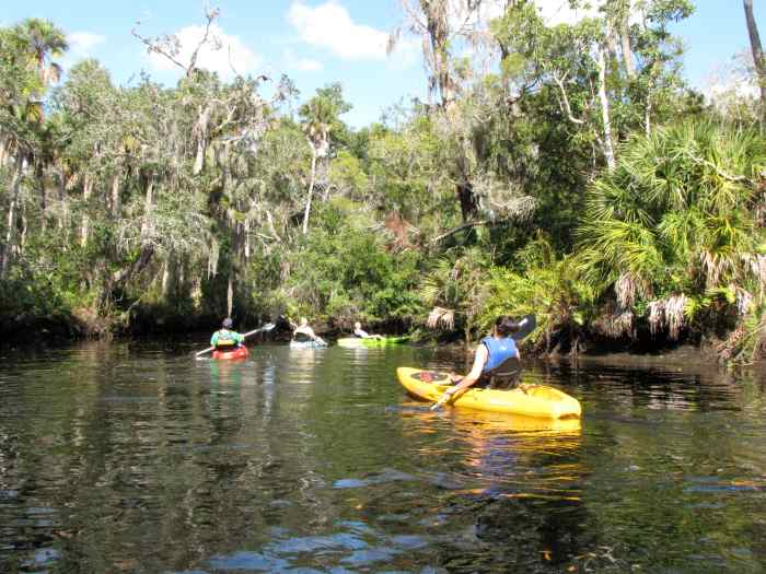 Kayaking the Cotee River in New Port Richey, Florida SkyAboveUs