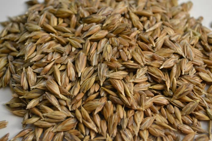 Wheat is a very valuable item for long term food storage. It can be used for pie crusts, breakfast food and making biscuits. Once milled the bran can be a beneficial livestock feed.
