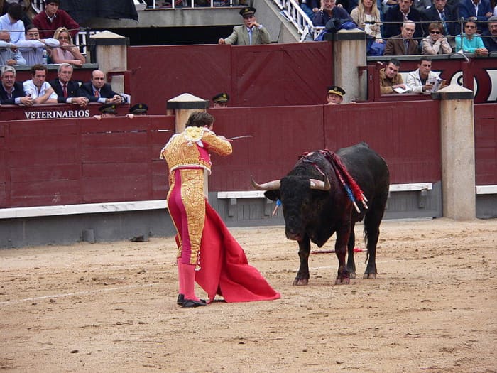 Arguments for and against bullfighting: Matador with bull. Countries which have some sort of bullfighting as a traditional spectacle include: Spain, Portugal, southern France, Mexico, Ecuador, Peru, Colombia, Venezuela, and the Philippines.