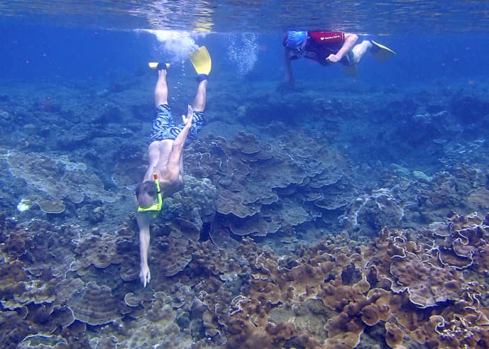 Hawaii: Snorkeling Anyone? A Guide to Your Safe and Fun Underwater ...