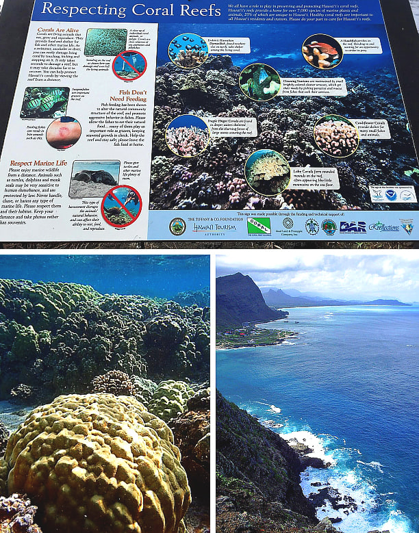 Top: "Respecting Coral Reefs" sign at Kapoho Tide Pools. Bottom left: Hawaii's underwater landscape. Bottom right: Above water landscape (Oahu's coastline).