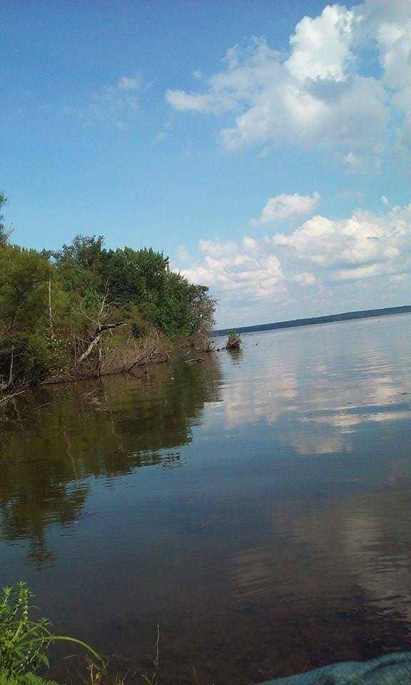 Timber is a great attractant for fall crappie, just remember, deeper water nearby and decent forage will affect how productive this piece of cover is. During the day fish deeper structure, slowing coming more shallow as night nears.
