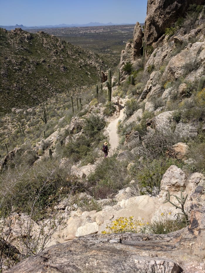 Looking down on trail heading back from Romero Pools hike in Tucson Arizona's Catalina State Park