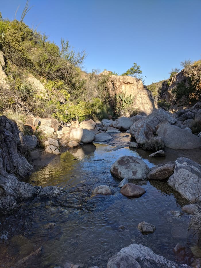 Picturesque Montrose Pools located along trail to Romero Pools in Arizona's Catalina State Park