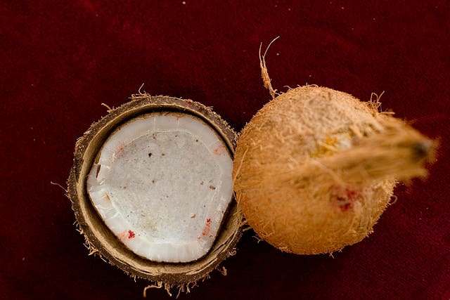 Coconut water is the clear water from a young coconut. Coconut milk is made from an emulsion of the meat inside an old coconut. The picture above is an OLD coconut.