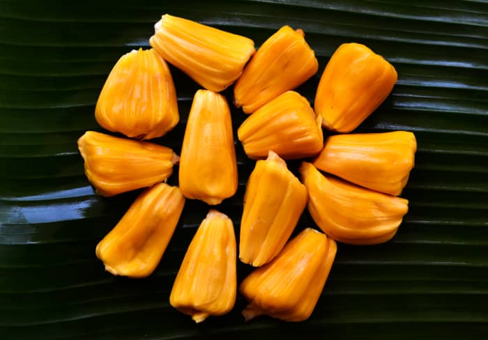 jackfruit seed bulbs