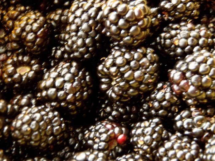 Diet Secret #2: buy fresh fruits like berries and enjoy those for a snack.