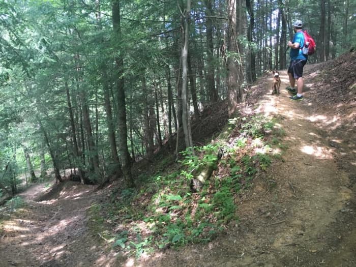 My son still hikes the mountains almost weekly (with his faithful dog). I like to believe it is making a difference in his life. Spiritually it revives him and clears his mind.