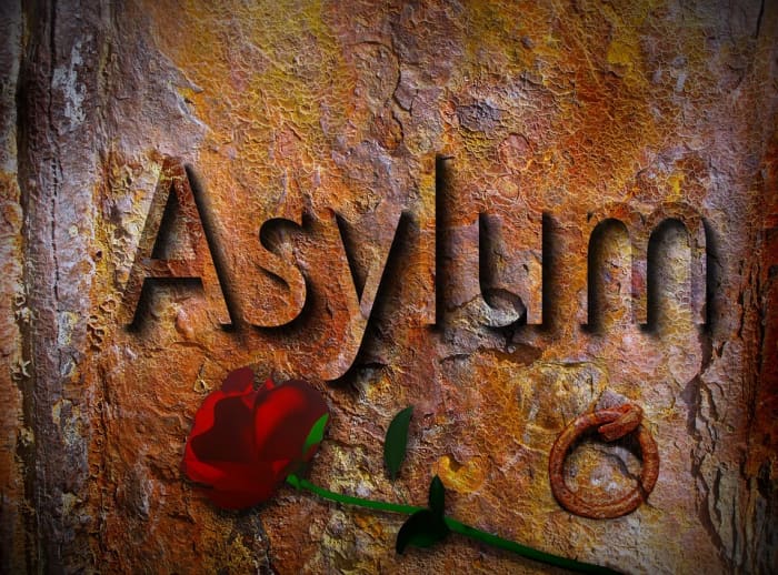 The dramatic increase in immigrants and asylum seekers in recent years has placed new and critical pressures on the European Union. The economic and social pressures have helped to facilitate the rise of new anti-EU and populist parties.
