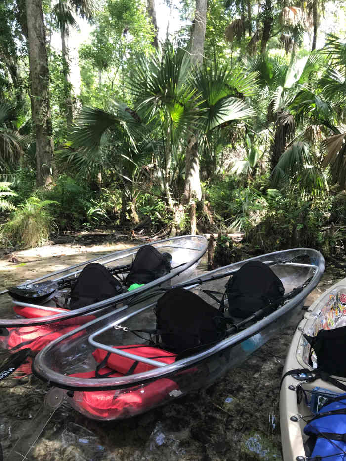 Is the Clear Kayak Tour in Florida Really Worth It? SkyAboveUs