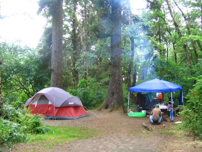 Our tent site at Agate Beach campground was dripping with dew from coastal fog, but the views were spectacular. Family camping is recommended for children who are not prone to wander off. Natural cliff formations are a part of the landscape.