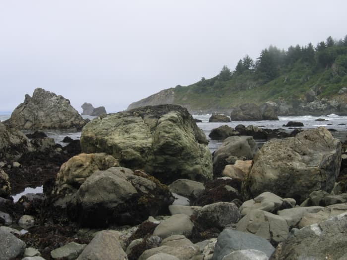 You'll find tide pools at rocky Palmer's Point Beach. A playland for climbing and exploring. Be careful on the steep steps down to the beach, they can be a bit slippery in the coastal fog.