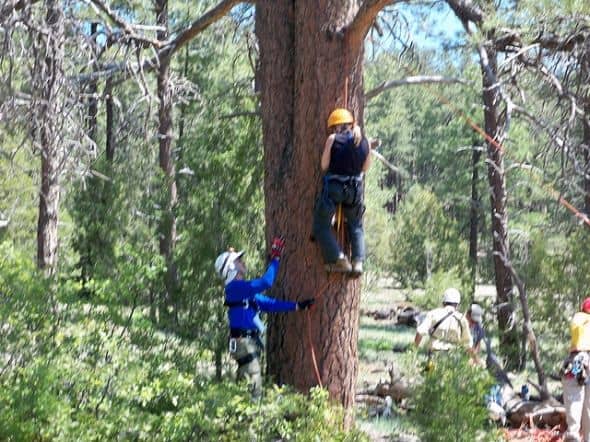 We each practiced ascending a rope hanging from a tree limb before graduating to the 80-foot cliff. It took me a few tries to get the hang of it.
