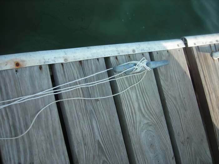 How to Set up a Minnow Trap in the Water - HubPages