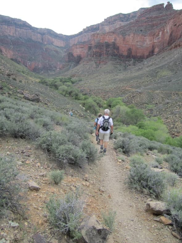 Tonto Trail junction with Bright Angel Trail and Indian Gardens, approaching the oasis in the desert.