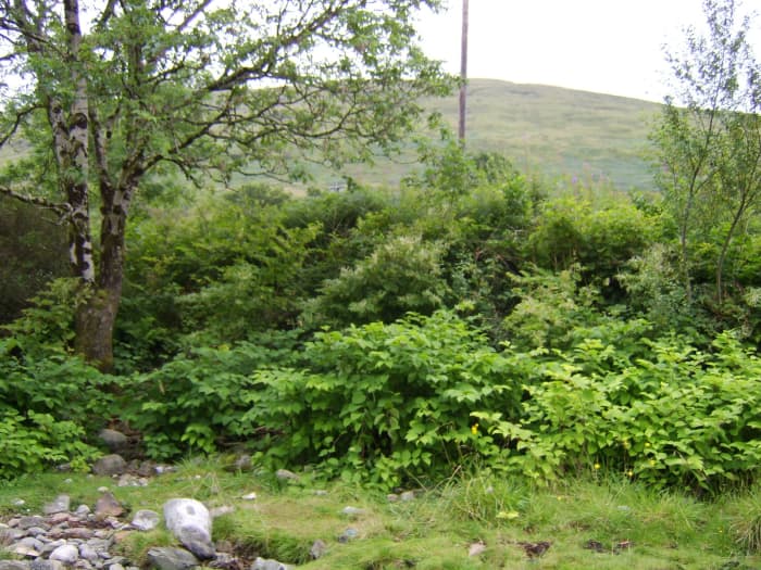 Parking at Cairndow War Memorial leaves you only a few yards from the beach but the track is pretty treacherous
