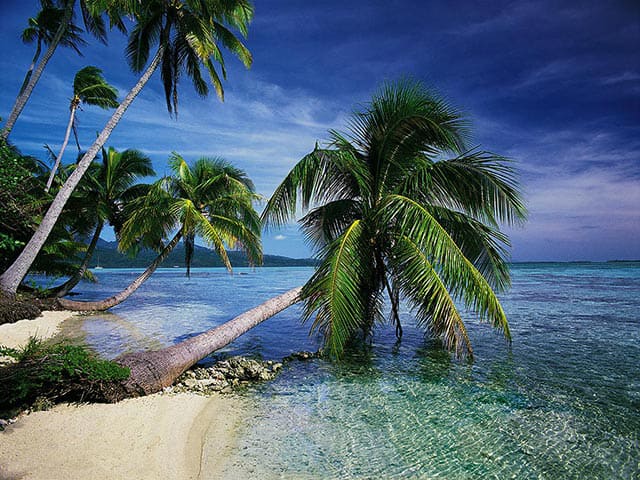 Top 10 Things to Have on a Deserted Island - HubPages