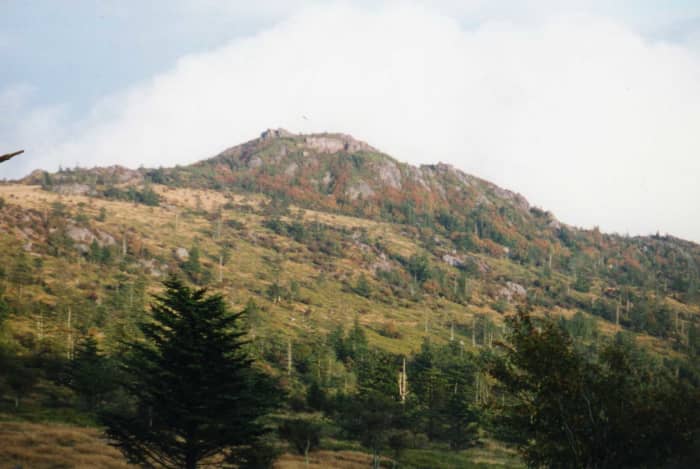 The Grayson Highlands State Park in Virginia is a welcome escape from the "green tunnel."