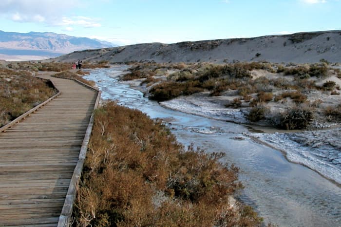A wooden boardwalk meanders alongside Salt Creek where you can see the rare little pupfish swimming.