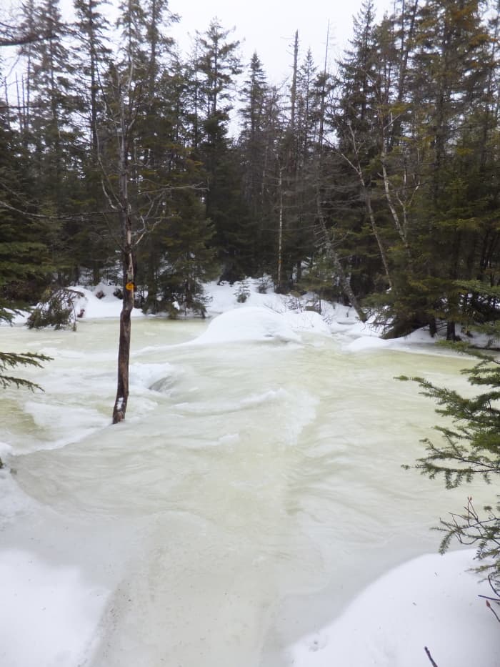 Within four hours Uphill Brook went from 4-feet wide to over 30-feet wide. This is when I realized I might be in trouble.