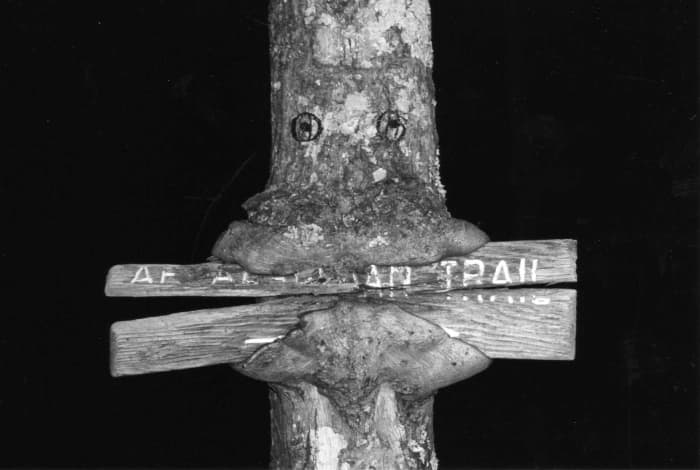 Nature and culture intertwine along the Appalachian Trail; this tree devours an old sign.
