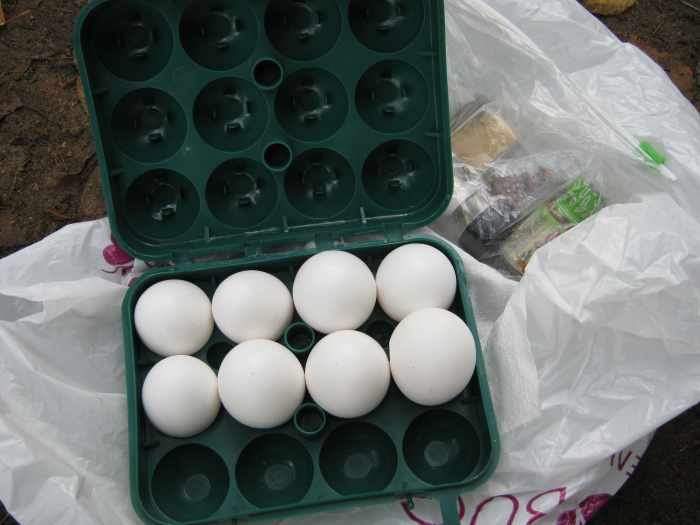 How to Cook an Omelet in a Freezer Bag for an Easy Camping Breakfast