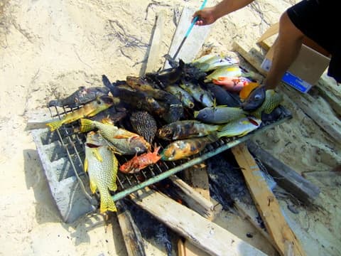 Fish from the Red Sea taste good partly because the salinity level is higher. Preparing for our lunch