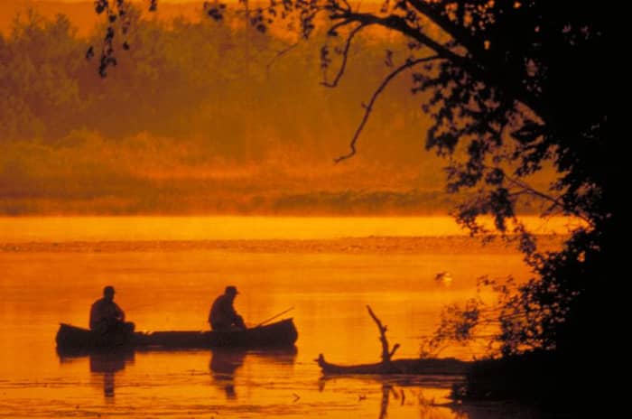 Use these apps to improve your luck fishing.
