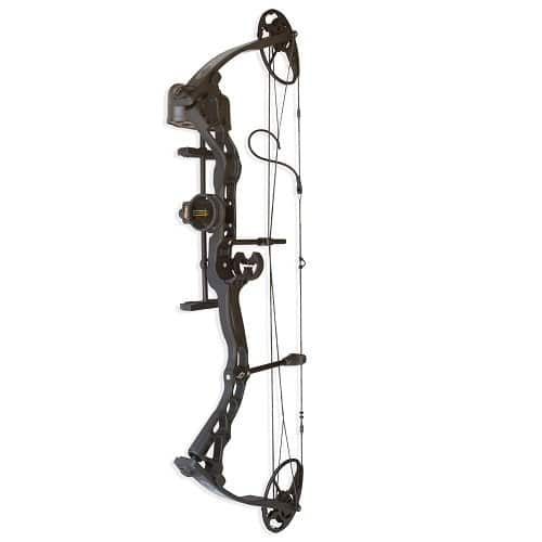 The Best Beginner Bows for Target Archery SkyAboveUs